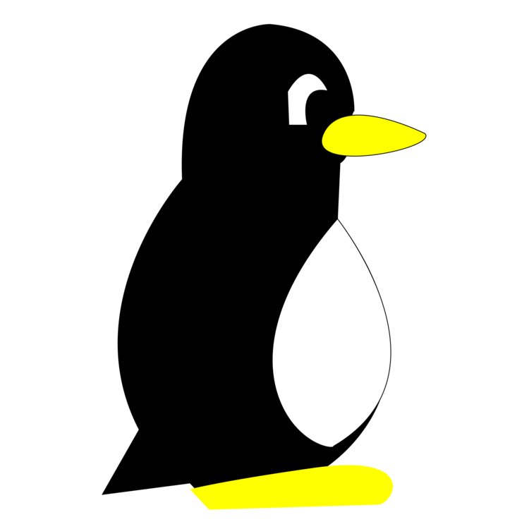 Flightless Bird,King Penguin,Beak