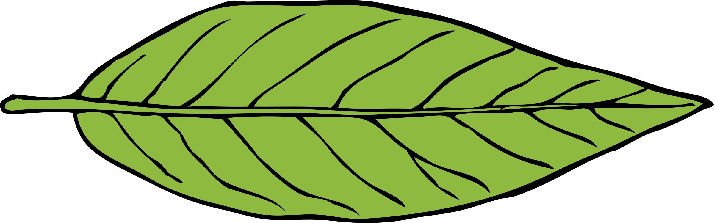 Plant,Leaf,Food