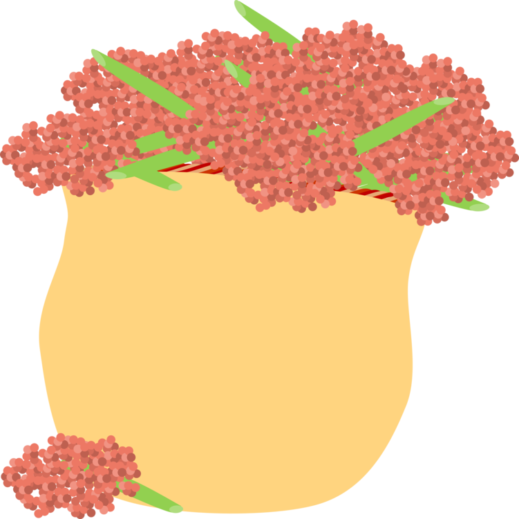 Flower,Grapevine Family,Food