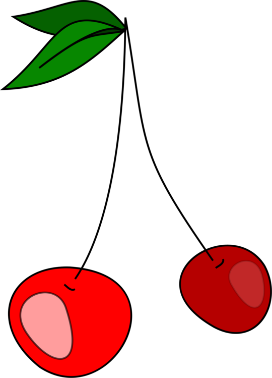 Plant,Leaf,Area