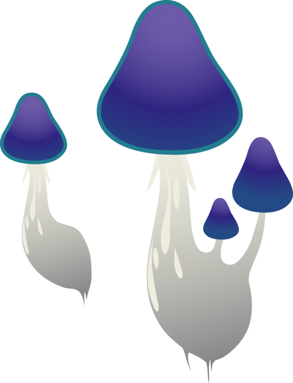 Purple,Fungus,Mushroom