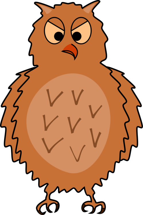 Owl,Beak,Wildlife