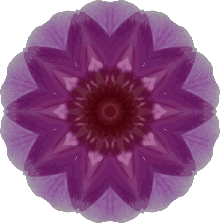 Flower,Purple,Petal
