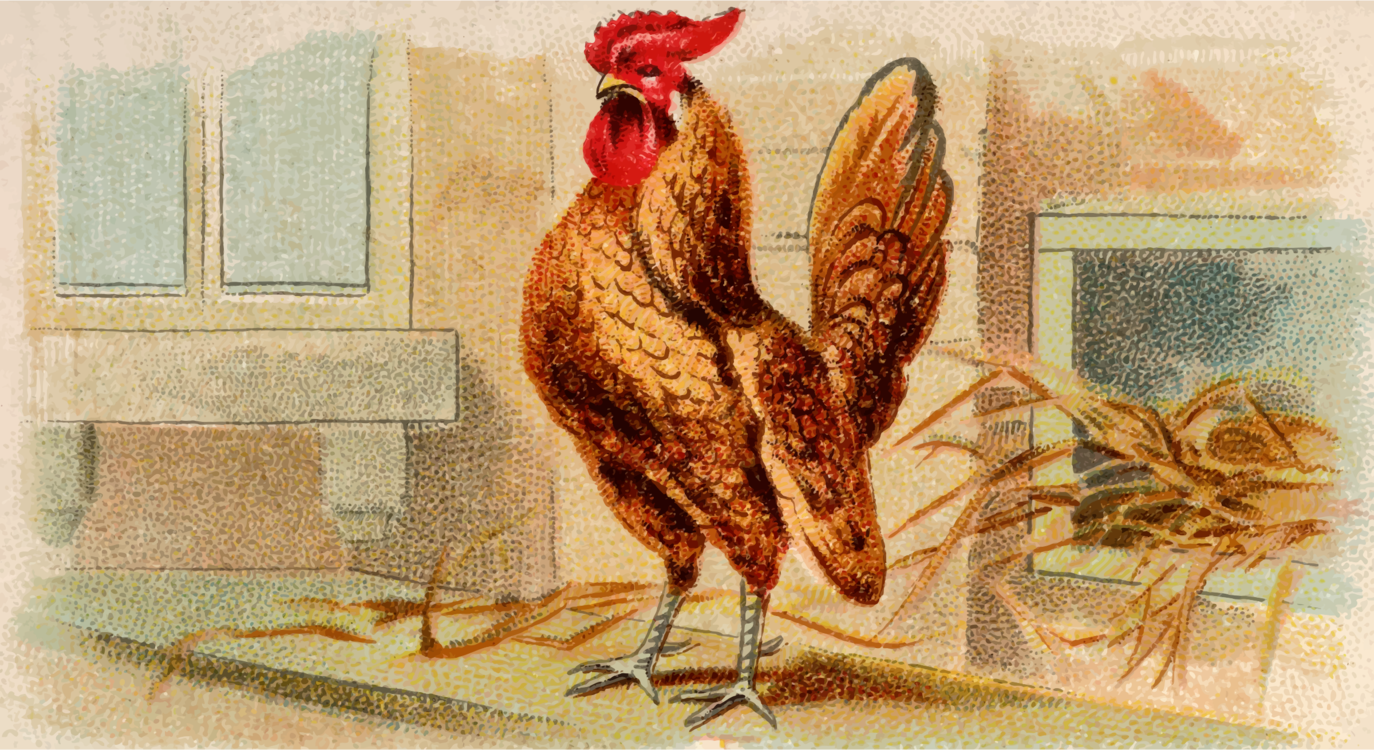 Poultry,Art,Livestock