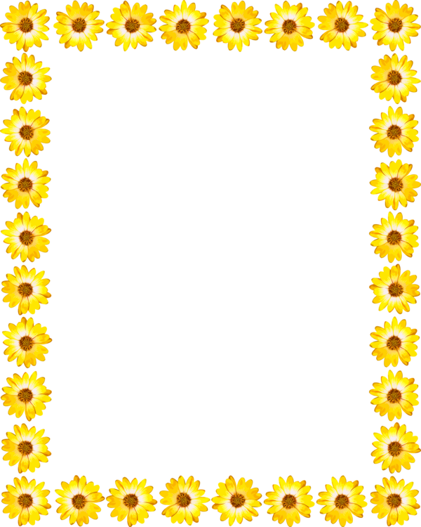 Picture Frame,Flower,Sunflower