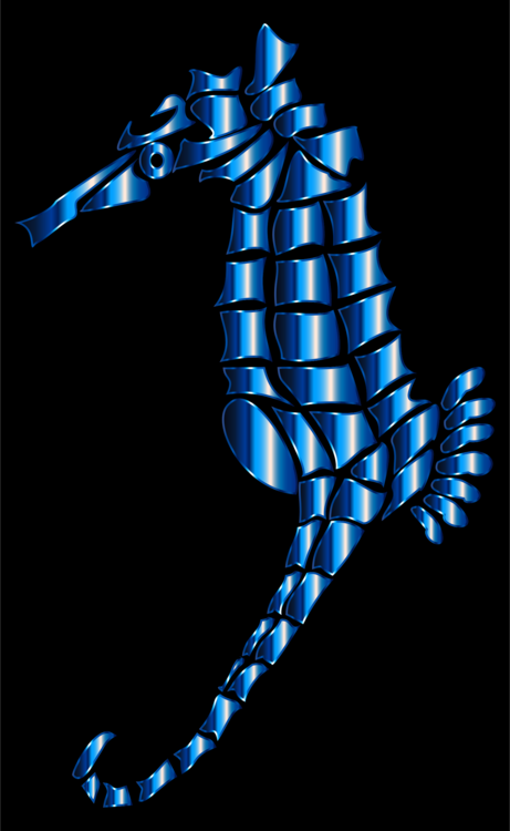 Electric Blue,Syngnathiformes,Seahorse