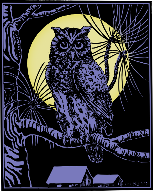 Owl,Art,Graphic Design