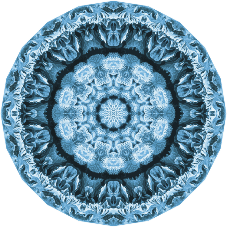 Plate,Blue And White Porcelain,Symmetry