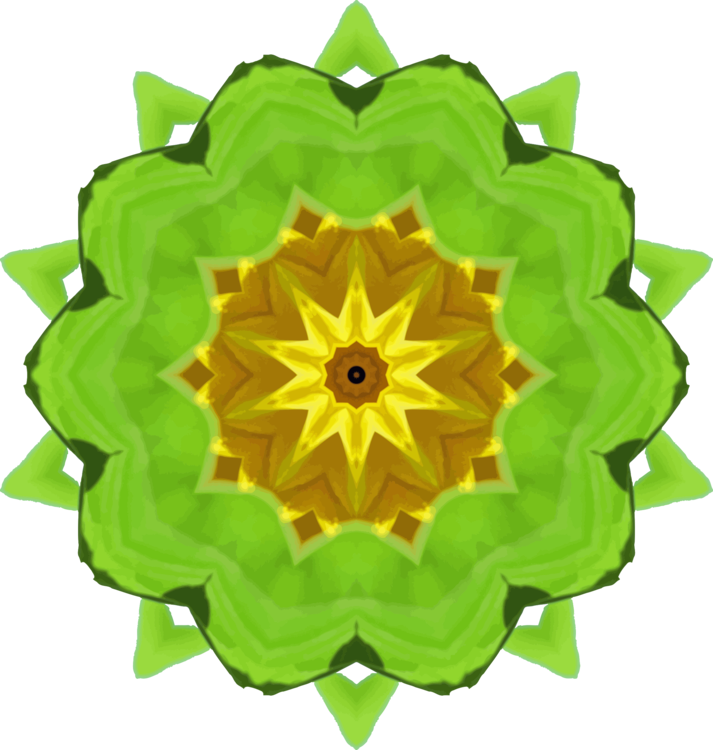 Symmetry,Flower,Green