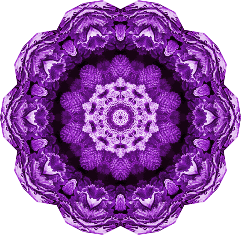 Flower,Lilac,Purple