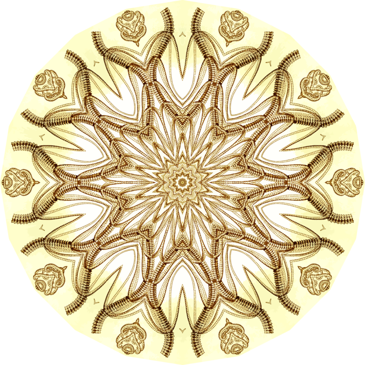 Flower,Symmetry,Gold
