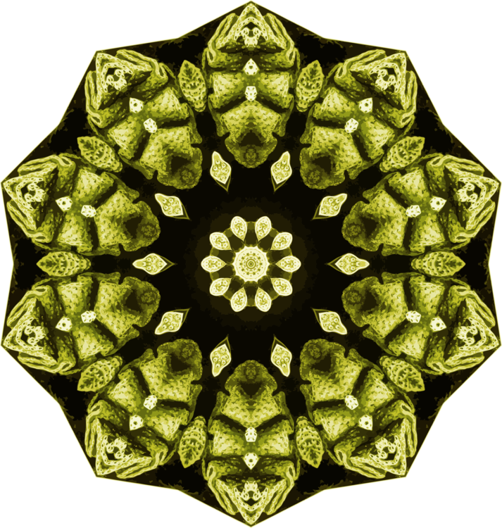 Green,Symmetry,Decoration