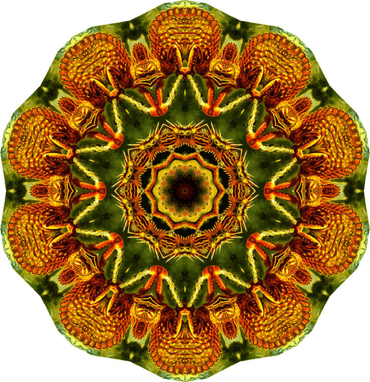 Circle,Platter,Symmetry