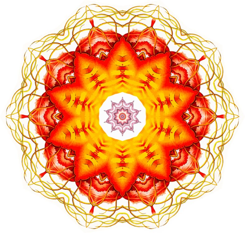 Flower,Organ,Symmetry