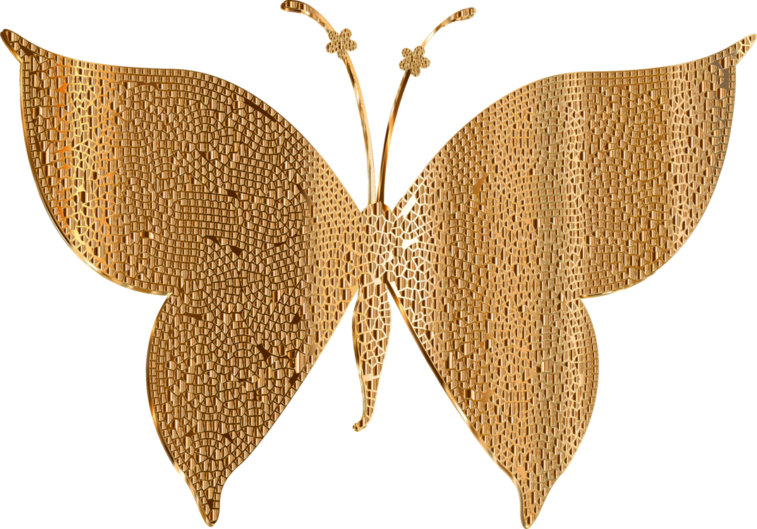 Butterfly,Symmetry,Moth