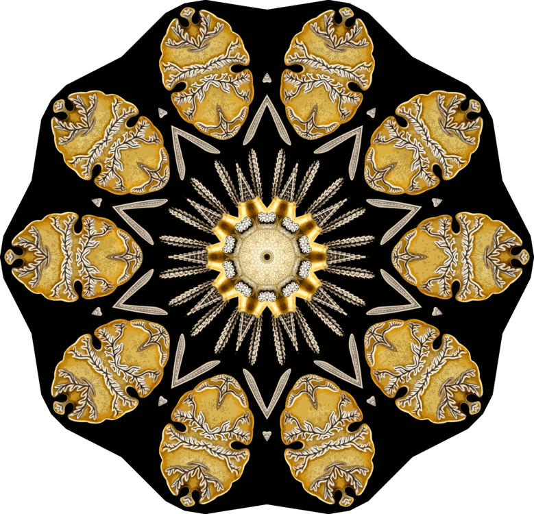 Visual Arts,Symmetry,Yellow