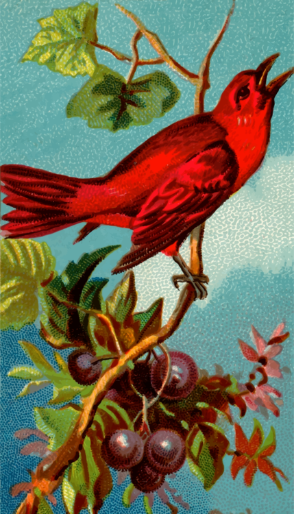 Art,Painting,Cardinal
