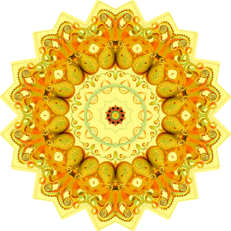 Circle,Material,Yellow