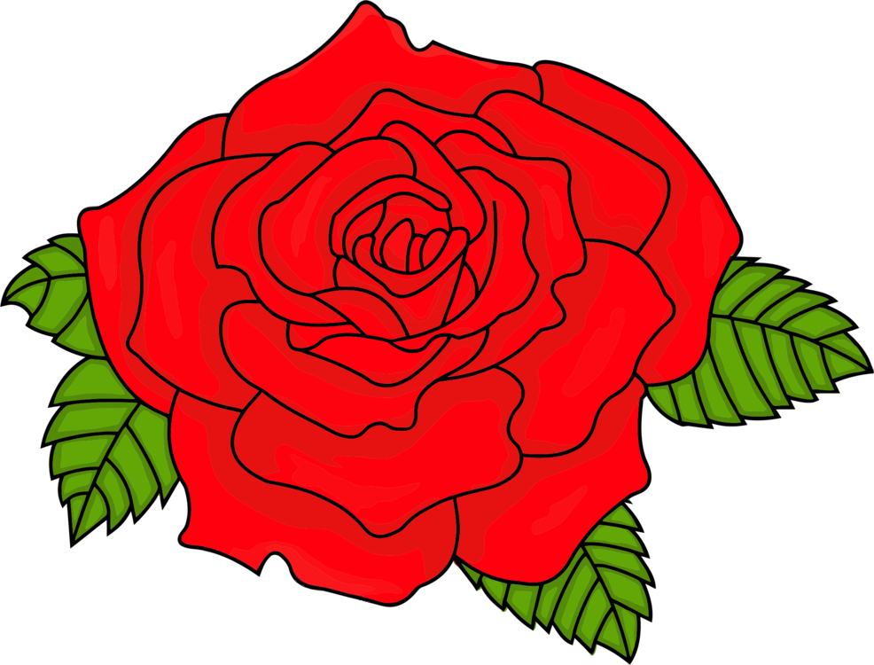 Art,Garden Roses,Petal