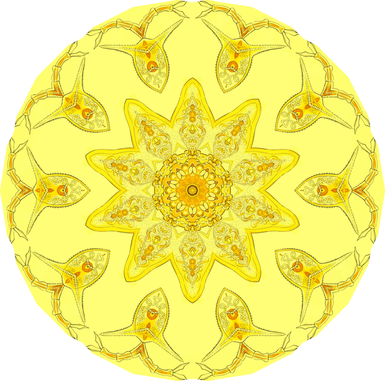 Symmetry,Yellow,Sphere