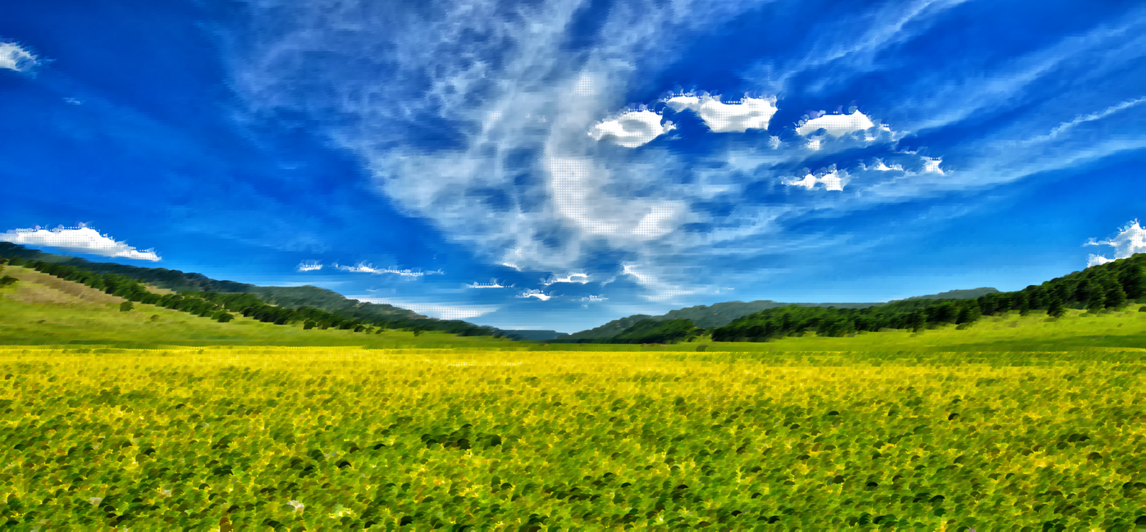 Atmosphere,Meadow,Canola