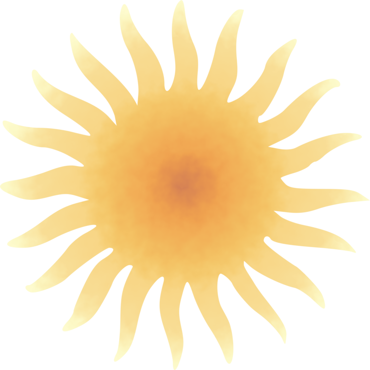 Close Up,Symmetry,Sunflower