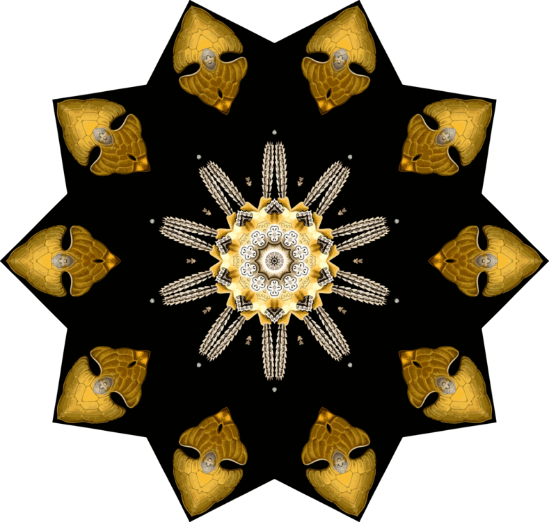 Symmetry,Yellow,Decoration