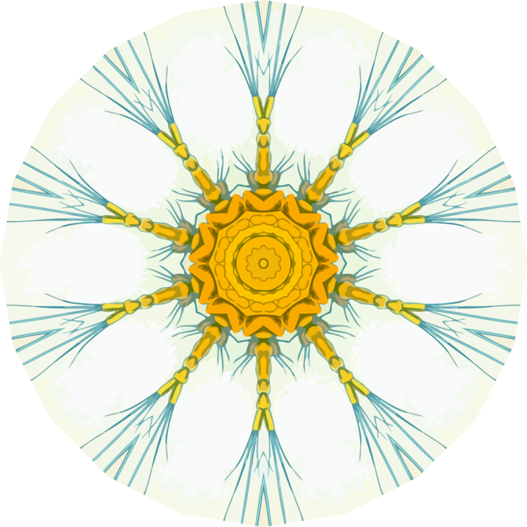 Symmetry,Yellow,Circle
