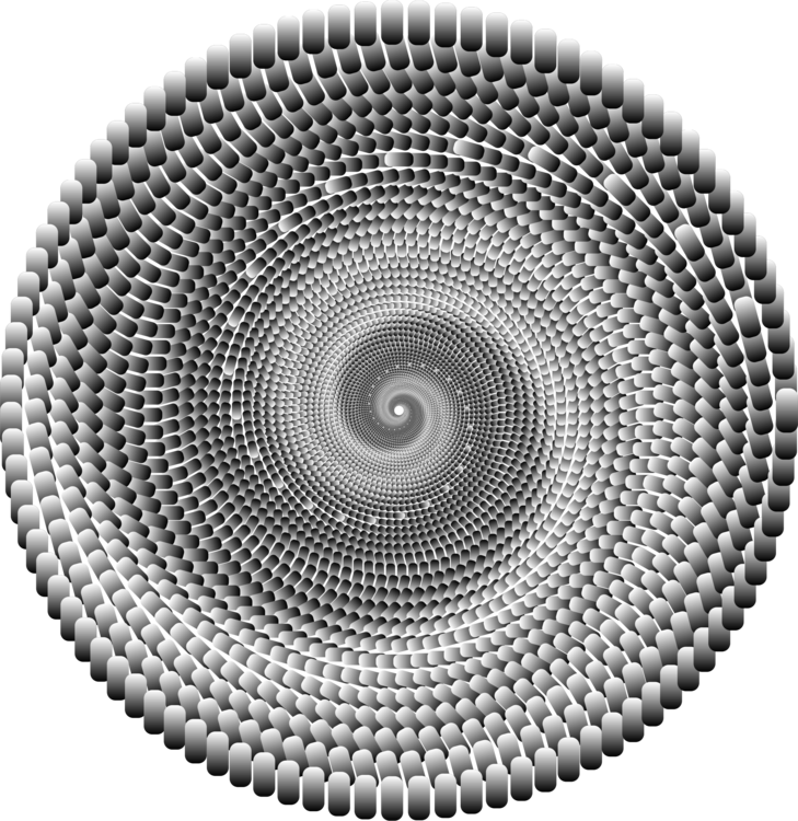 Symmetry,Monochrome Photography,Spiral