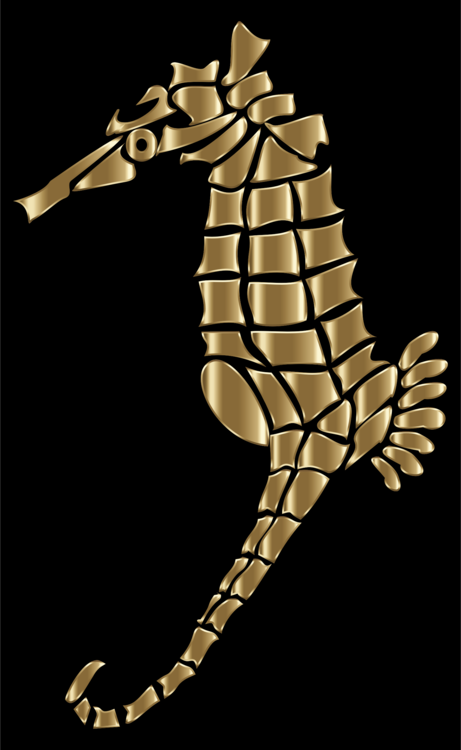 Syngnathiformes,Gold,Seahorse