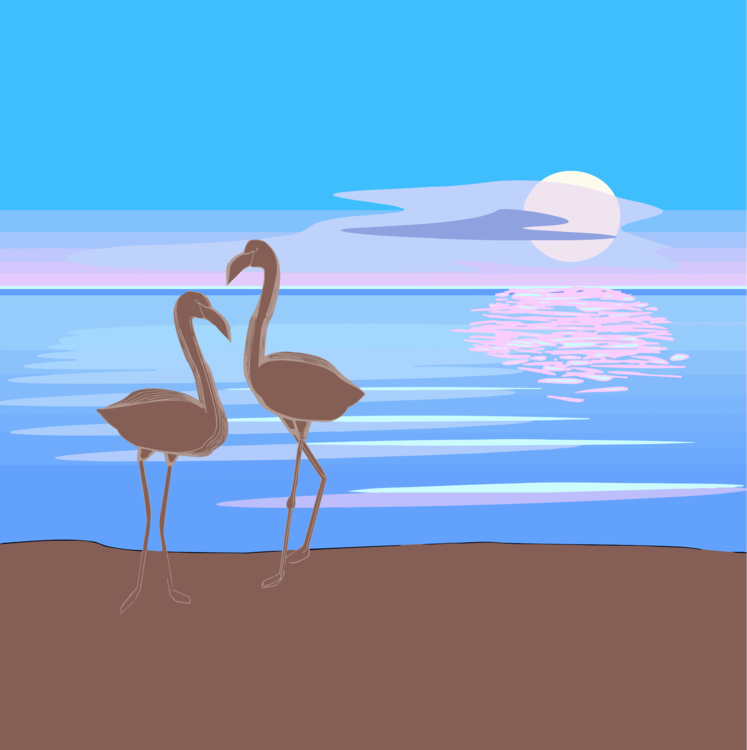 Flamingo,Water Bird,Crane Like Bird
