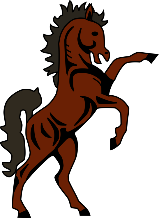 Pony,Horse Tack,Carnivoran