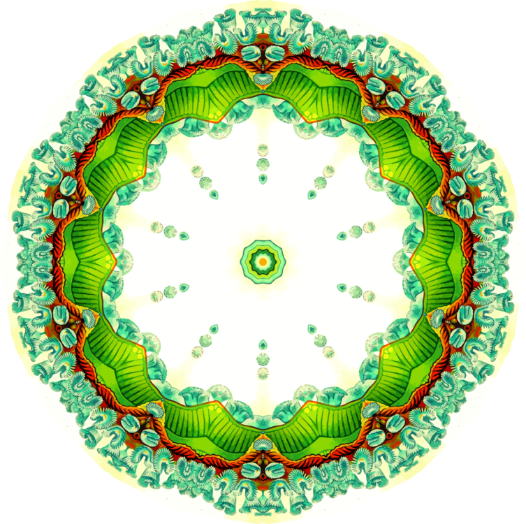 Circle,Platter,Green