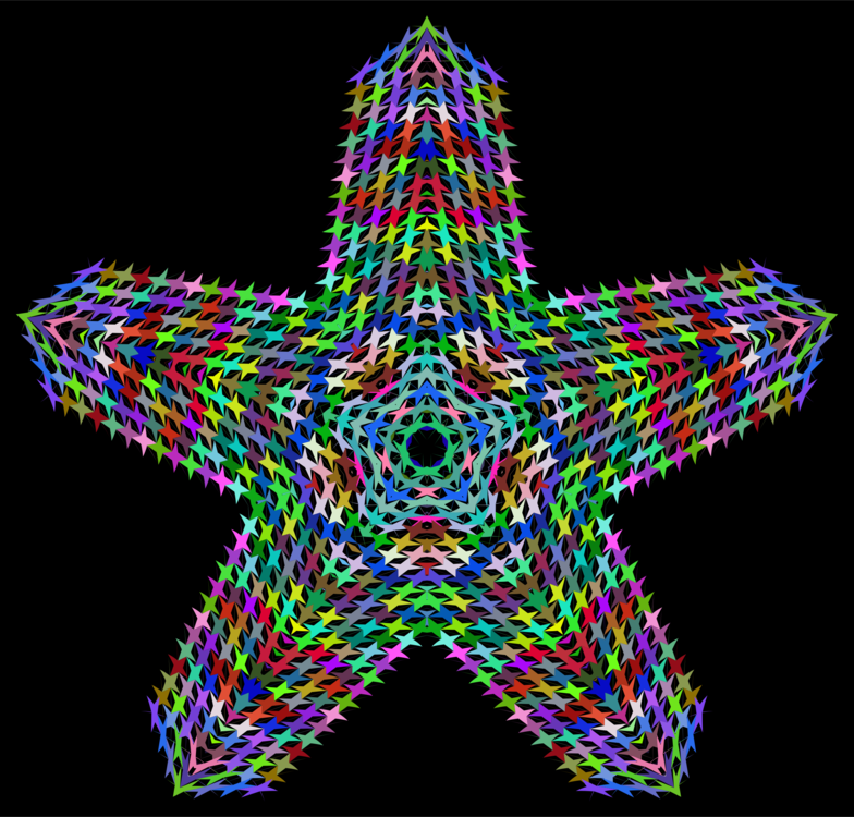 Star,Starfish,Symmetry