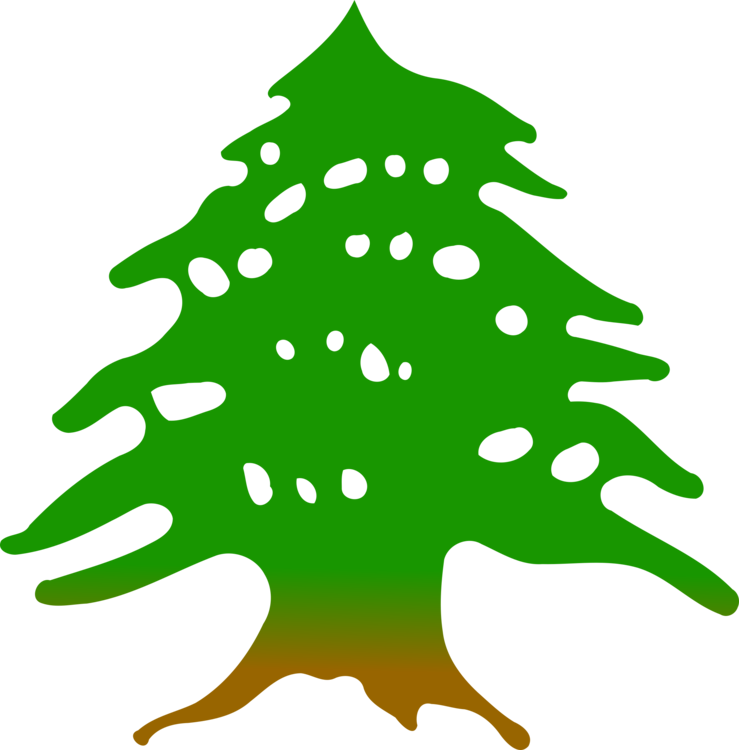 Christmas Ornament,Conifer,Spruce