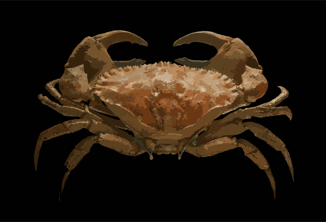 King Crab,Decapoda,Animal Source Foods