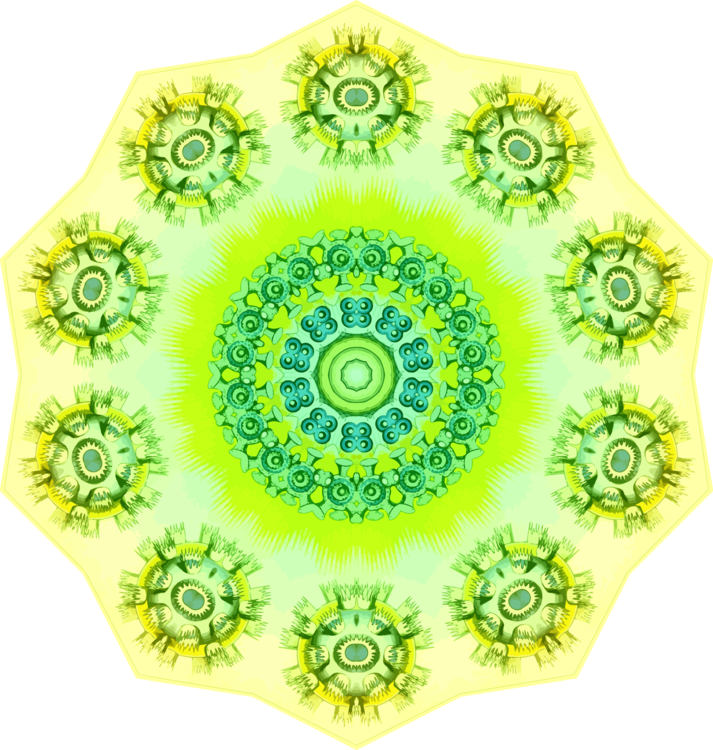Flower,Symmetry,Area