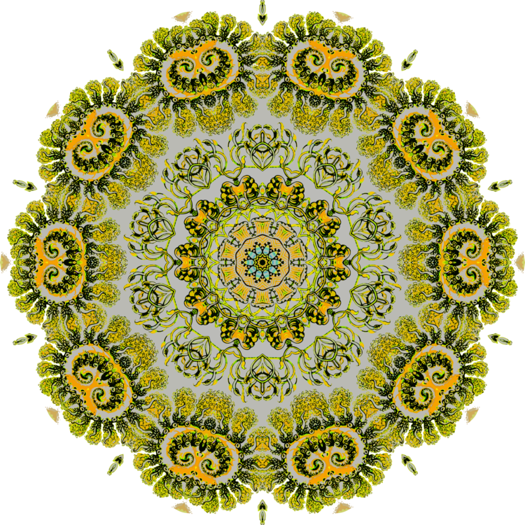 Sunflower Seed,Flower,Symmetry
