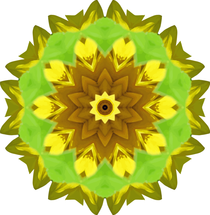 Sunflower Seed,Plant,Flower