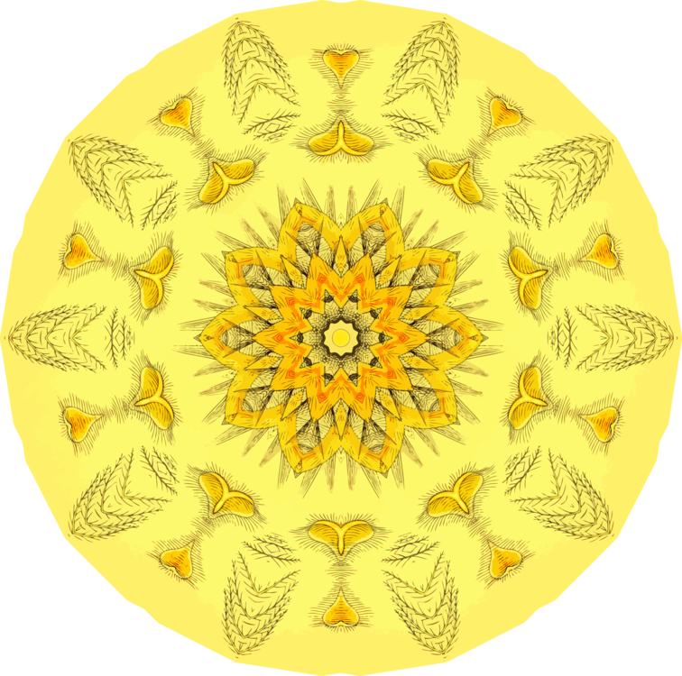 Flower,Symmetry,Yellow