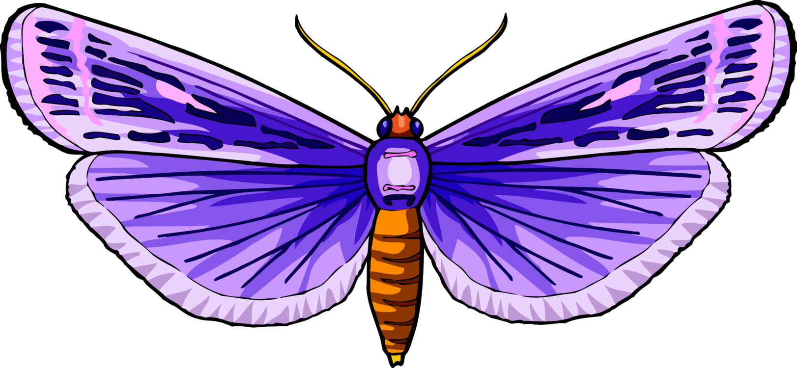 Butterfly,Symmetry,Purple