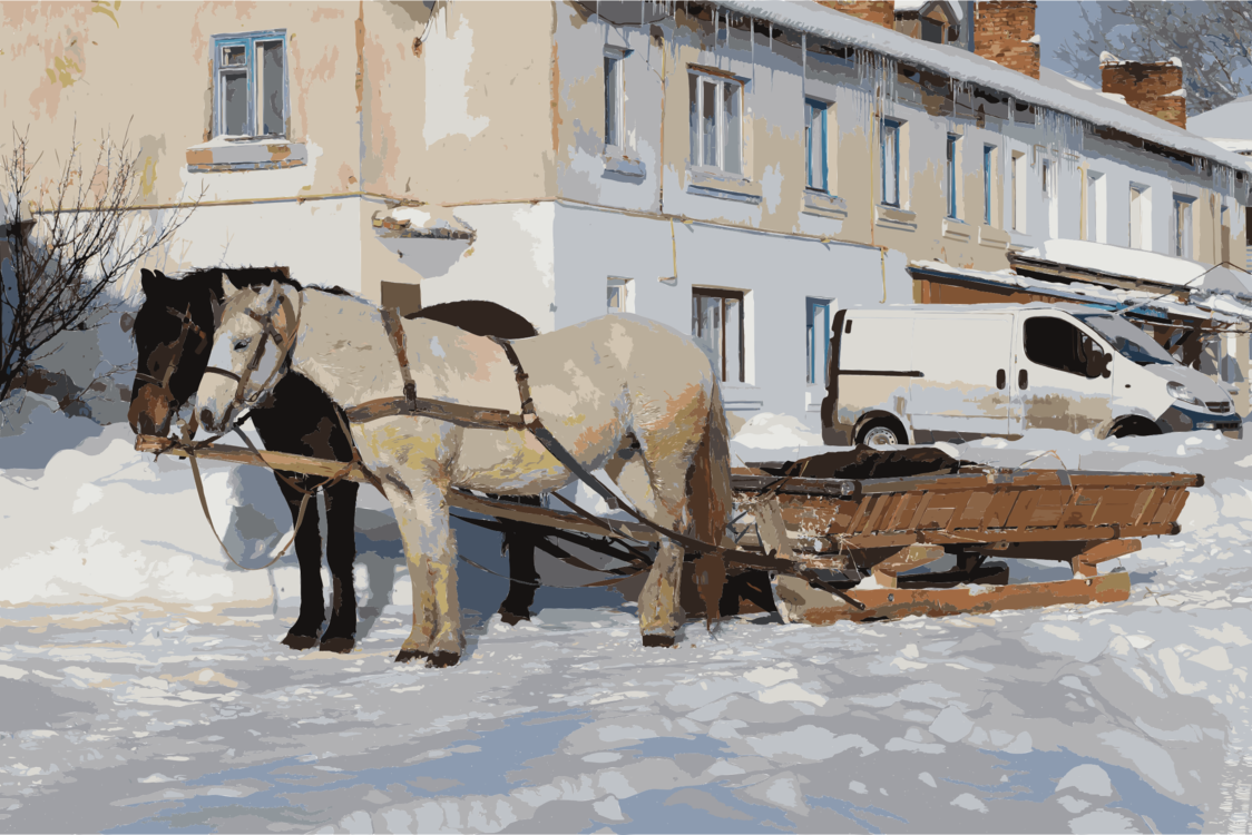 Horse,Winter,Pack Animal