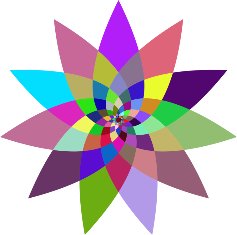 Flower,Triangle,Symmetry
