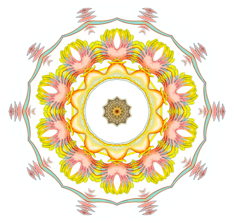 Flora,Symmetry,Kaleidoscope
