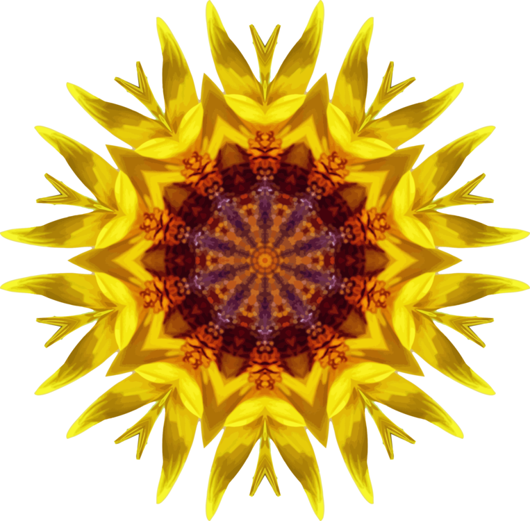Sunflower Seed,Pollen,Flower