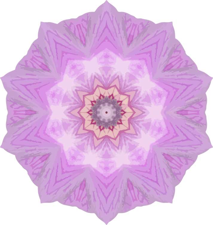 Pink,Flower,Lilac