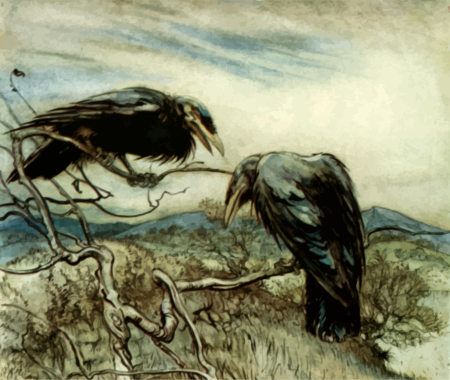 Vulture,Wing,Bird Of Prey
