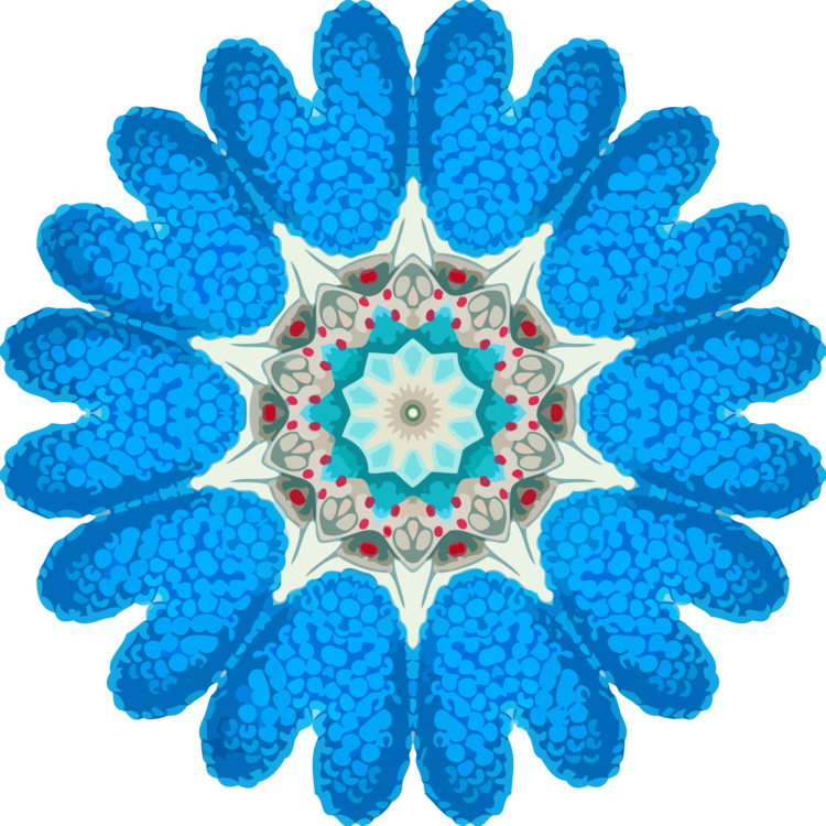 Turquoise,Symmetry,Petal
