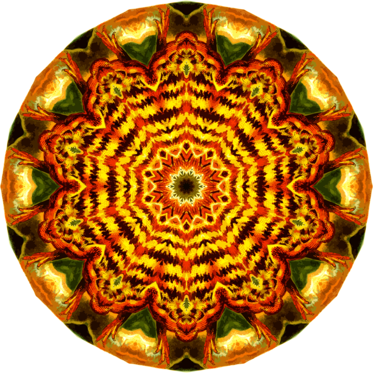 Symmetry,Kaleidoscope,Decoration