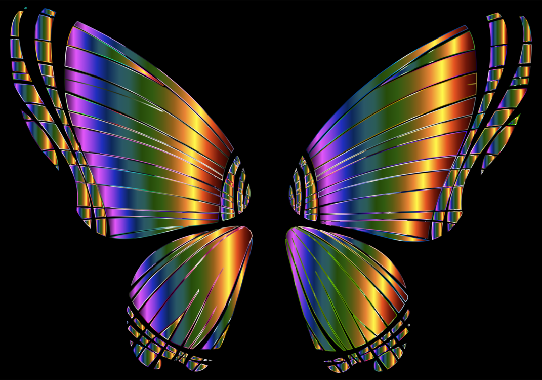 Butterfly,Symmetry,Macro Photography